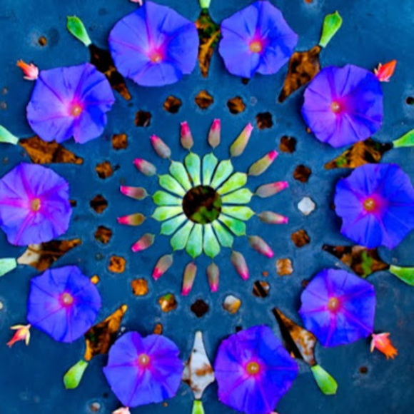 Meet your Posher, Justine - Picture 1 of 1